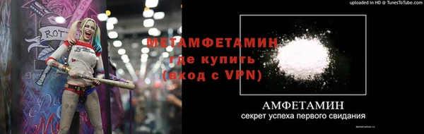 гашик Козловка