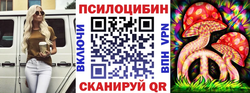 Галлюциногенные грибы Psilocybine cubensis  где продают   Котельниково 